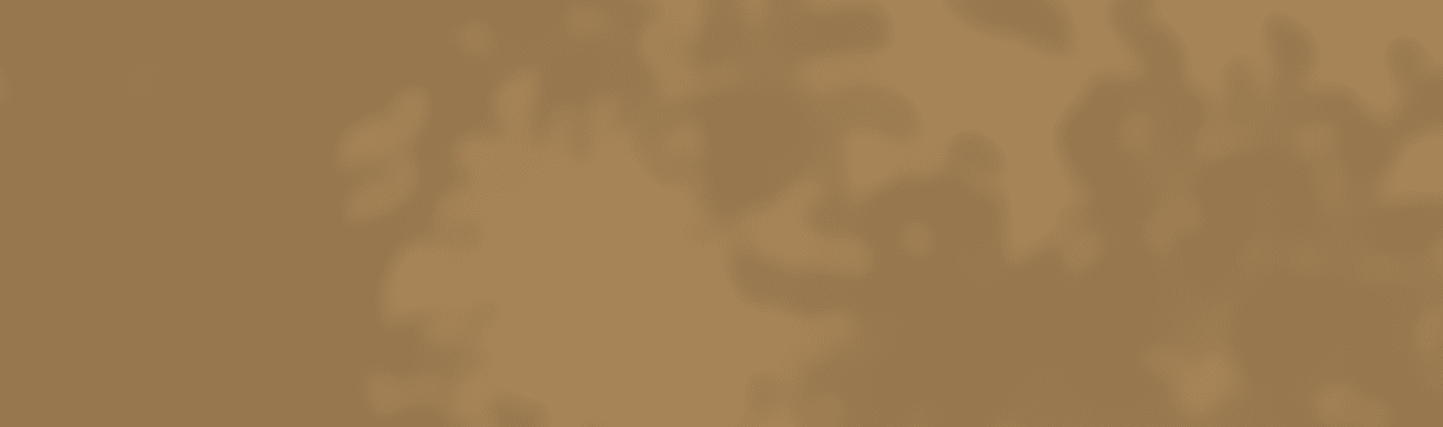 BG slider